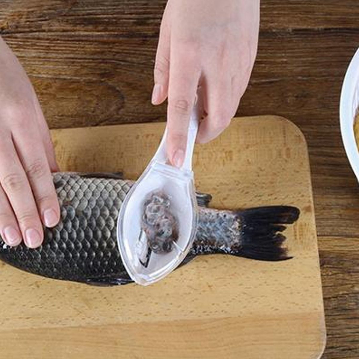 2371 Fish Scale Scraper Peeler Fish Tools Kitchen