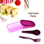 2453 Unbreakable Divine Leak Proof Plastic Lunch Box Food Grade Plastic BPA-Free 2 Containers with Spoon