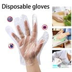 0670 Plastic Transparent Disposable Clear Gloves (White) (100Pc)